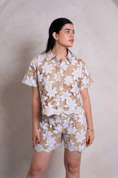 Set Nacional REF: 3204